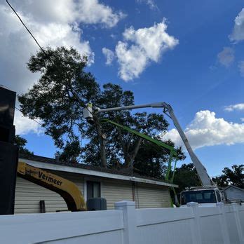 stutzman tree service|Iba pa.